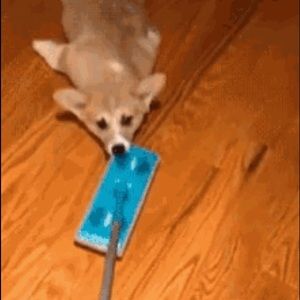 Meet your Posher, Ruth